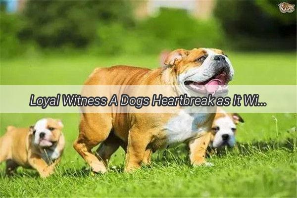 Loyal Witness A Dogs Heartbreak as It Witnesses Its Owners Torture